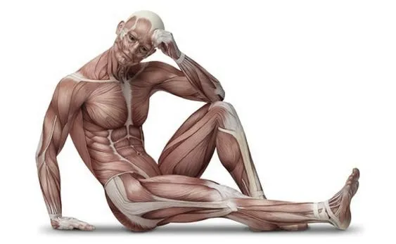 Fizjoterapia czy fizykoterapia – która z nich lepiej wspiera Twoje zdrowie?