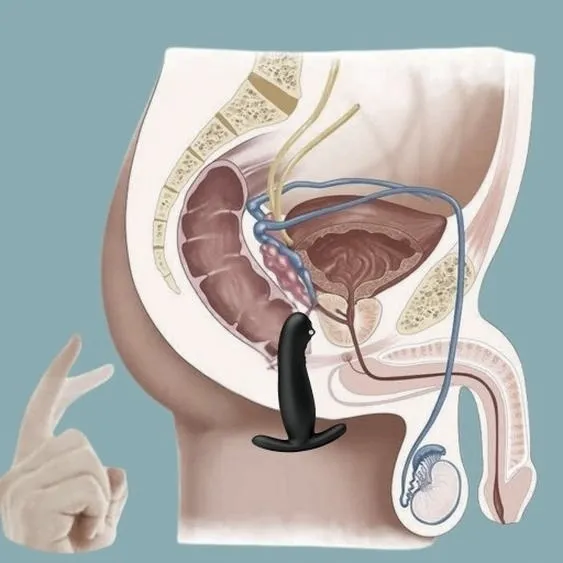 Masaż prostaty: jak wykonać krok po kroku i bezpiecznie
