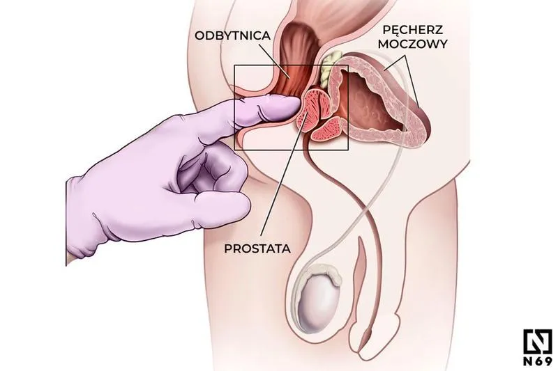 Doznania seksualne