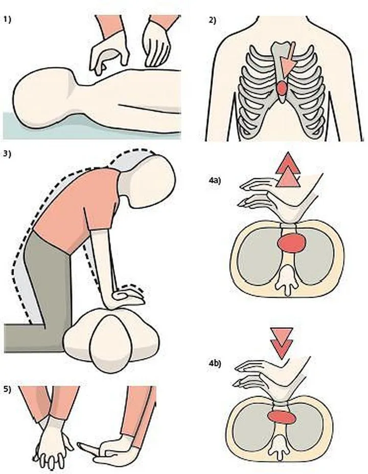 Resuscytacja krążeniowo-oddechowa RKO