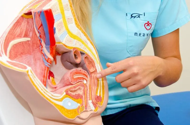 Terapia dna miednicy