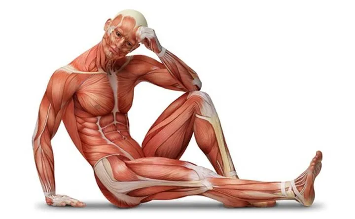 Umiejętności interpersonalne w fizjoterapii